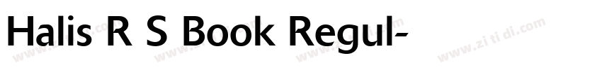 Halis R S Book Regul字体转换